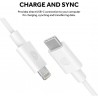 Cable Griffin Lightning & USB-C Connector